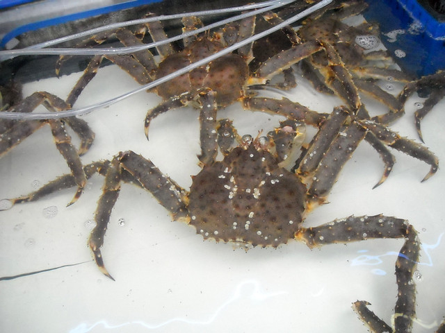 Live King Crabs, Nijo Fish Market, Sapporo, Hokkaido, Japan