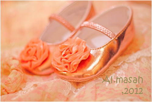 ls1 | by ღღalmasahღღ