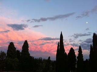 Cypresses, evening red and half moon