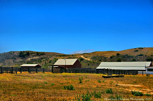 Ranch Barns Santa Rosa Island by lhg_11, 3.4million views. Thank you!