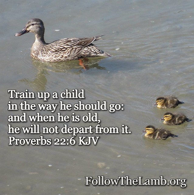June 29, 2018 #VerseOfTheDay from #FollowTheLamb Ministries #TrainUpAChild #CreateTheFutureNow #ChristianValues  Train up a child in the way he should go: and when he is old, he will not depart from it. Proverbs 22:6 KJV  If this blessed you, please share