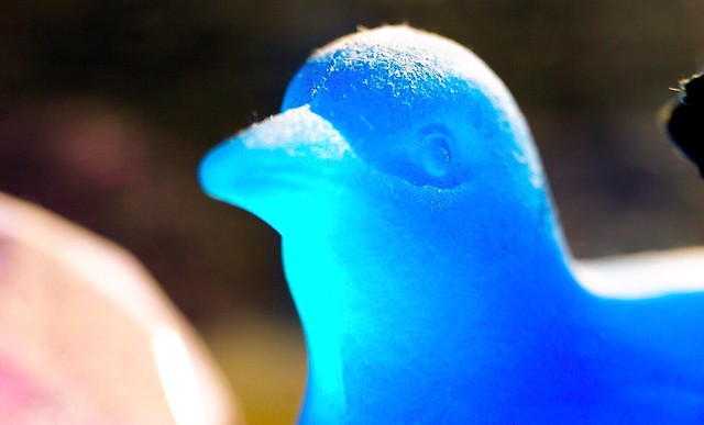 Blue Glass Bird, Close Up