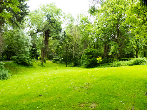 Leafy glade, East Park