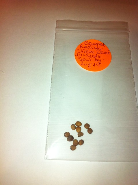 Heirloom Seeds I purchased