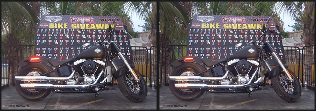 Harley - X-View 3D Stereo