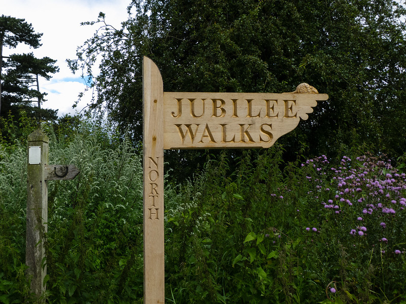 Mouse on a signpost