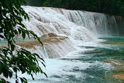 méxico waterfalls aguaazul chiapas cascadas