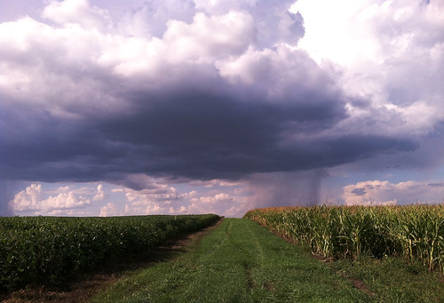sky field rain clouds shower corn farm soybeans