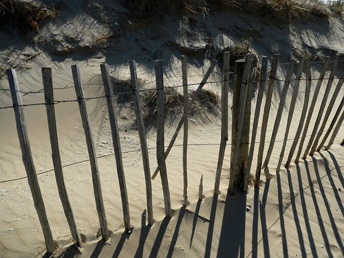 Wind fence on the dunes in Holland