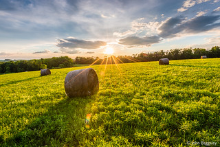 Sun rays and hay bales