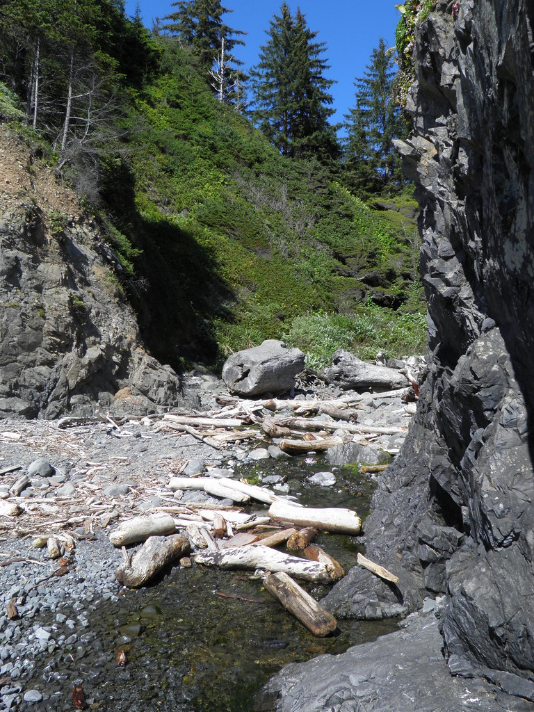 Damnation Creek Trail