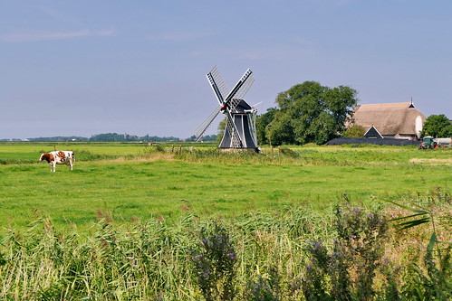 mühleninholland mühlen molen mills holland netherlands wasserschöpfmühle entwässerung polder landwirtschaft felder