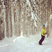 Big Cheif Trees @ Stevens Pass & Ski Instructor Alicia Lycan