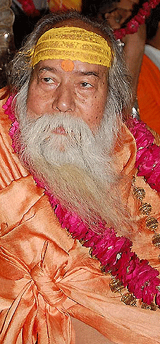 11.5 Swami Swaroopananda at 72 / Swarupananda / Sankaracharya