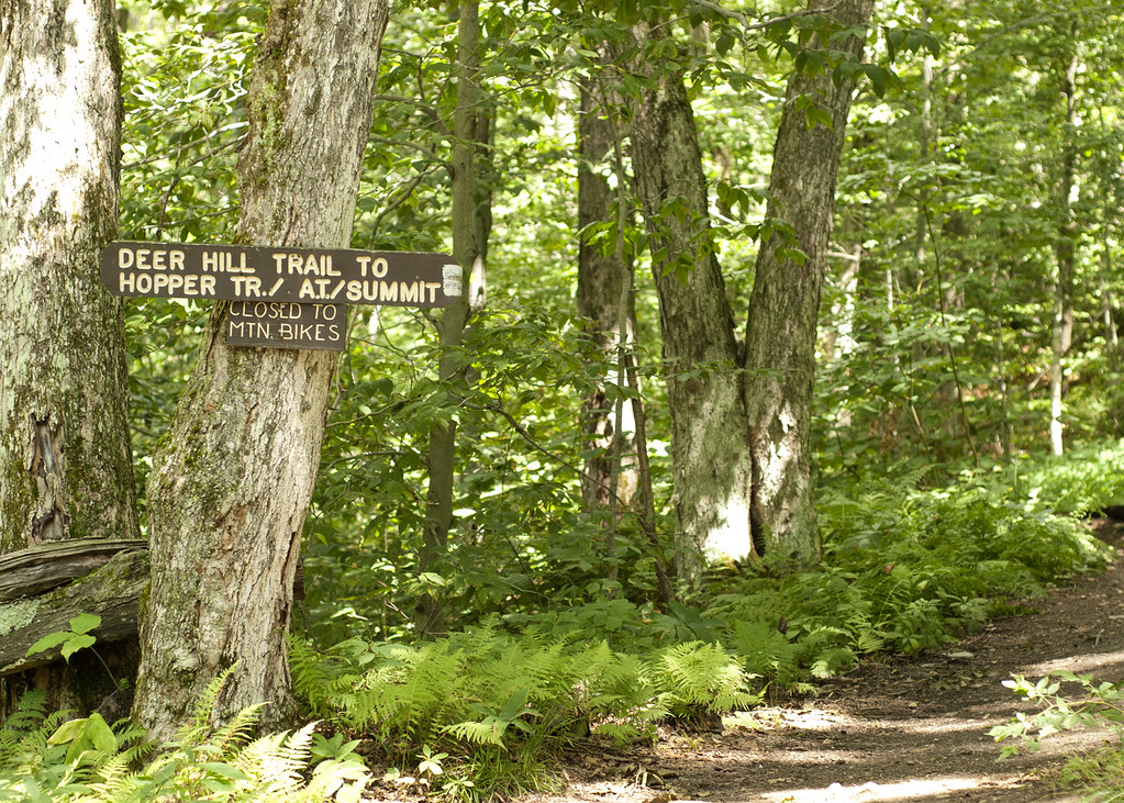 greylock14