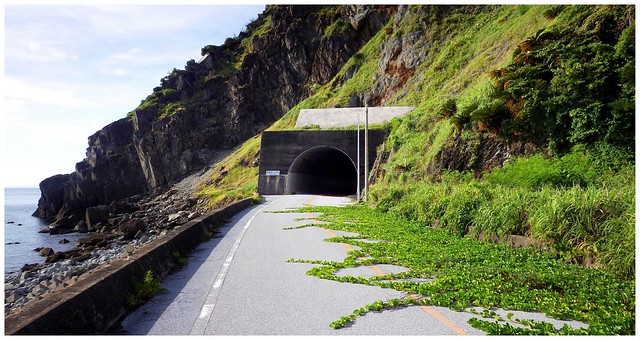 QUIZ TIME !!!  -- WHAT IS THAT LAYER OF WHITE STUFF ON TOP OF THE TUNNEL ENTRANCE ???