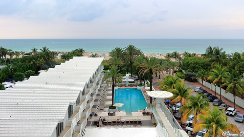 florida miamisouthbeach shelbornewyndhamgrandsouthbeachhotel strand beach meer ocean palmen palmtrees swimmingpool hotelroomview