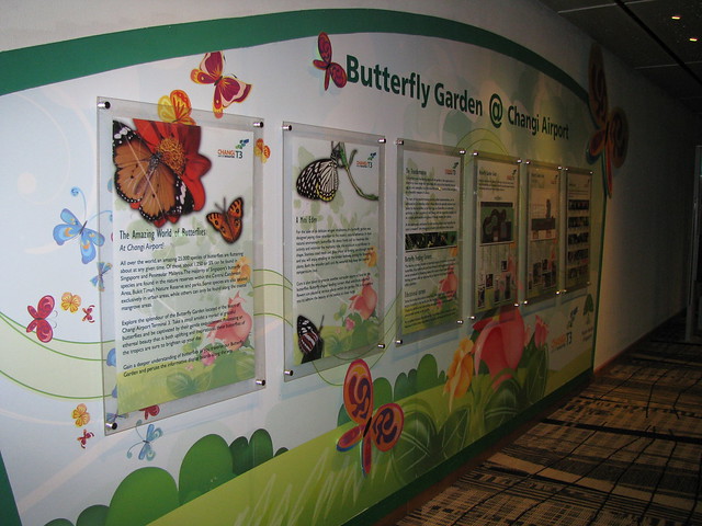 Butterfly garden: Changi Airport T-3