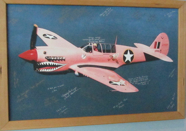 Curtiss P-40N Warhawk painted pink to fly in Egyptian Desert