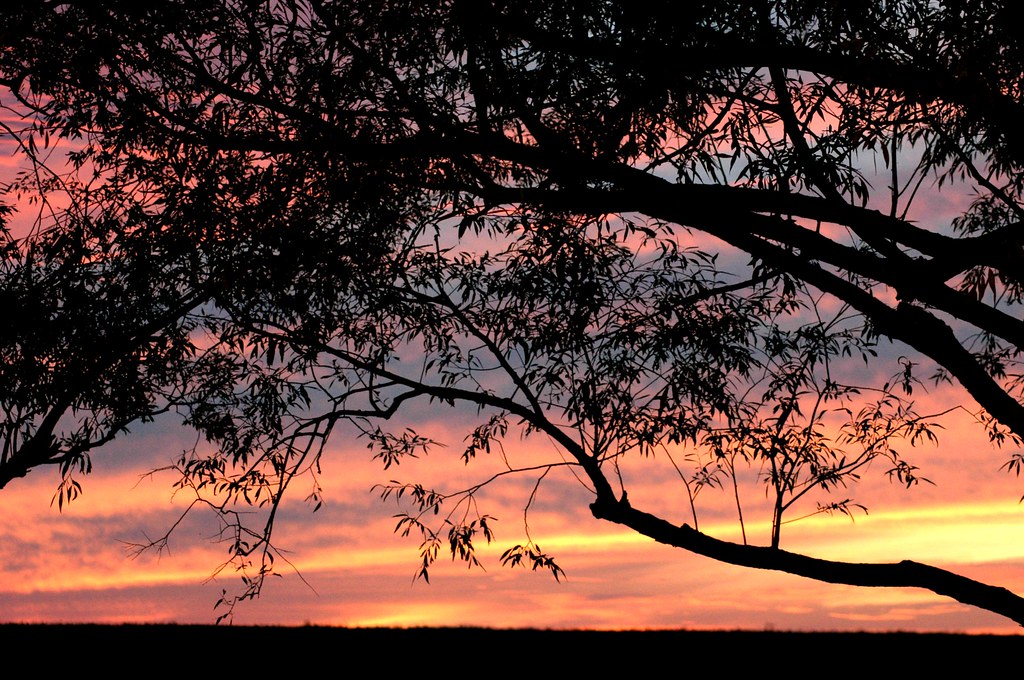 Nature | Flickr
