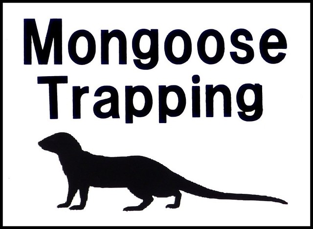MONGOOSE BUSTERS