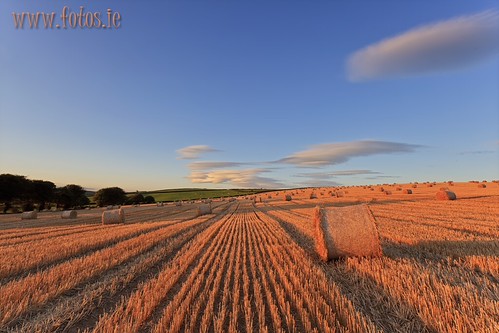 Harvest Time - 1 by Bren Cullen, <a href="http://www.fotos.ie" rel="nofollow">www.fotos.ie</a>

NO Group Banners Please - Thks :)

St