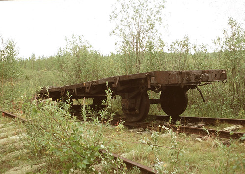 Platform | by avologod