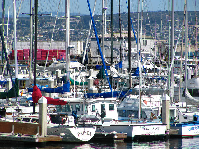 The Marina of Monterey