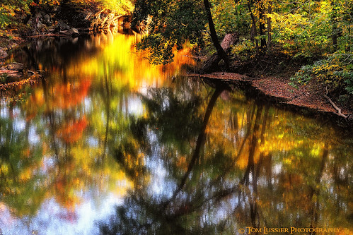 sunset usa tree water reflections river landscape virginia nikon fallcolor fallcolors loudouncounty nohdrhere tomlussier landscapespec2013