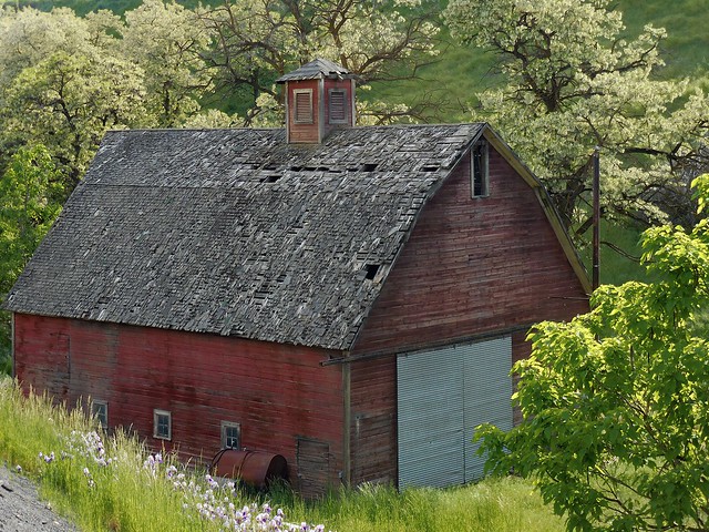 Locust Grove Barn