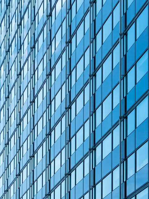 blue lines - or curves?
