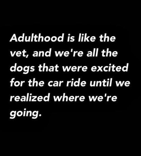 Funny Quotes : Adulthood - #Funny | Funny Quotes : QUOTATION… | Flickr