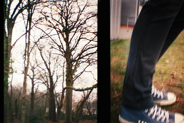 trees and converse