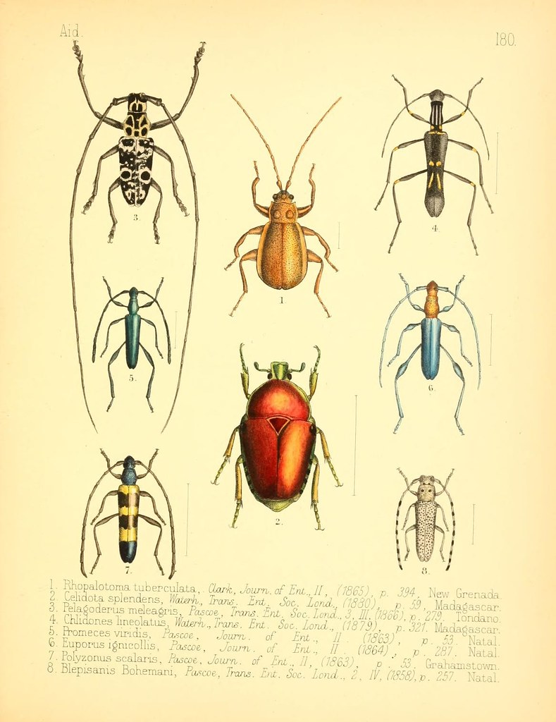 Insect Reference n194_w1150 | Aid to the identification of insects /. London … | Flickr