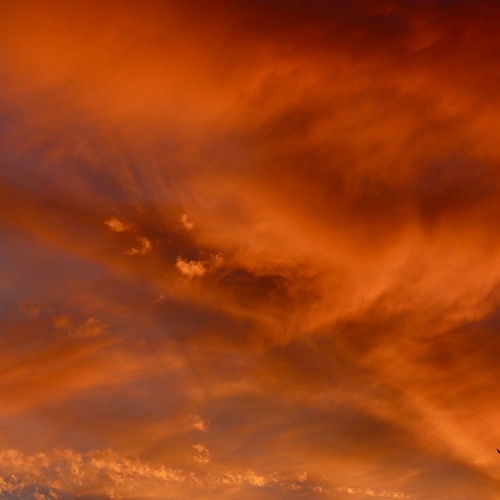 Coucher du soleil le 11 août 2012 - Neuvy-en-Beauce - Eure-et-Loir - Centre - France by vanaspati1, sunset sun rose clouds soleil pin couleurs coucher violet du colores bleu ciel nuages éolienne skie