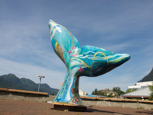 Hand painted Whale