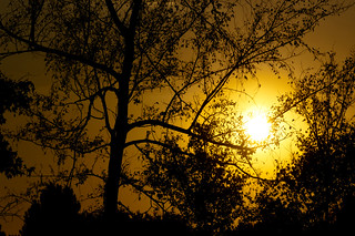 Steinheil August Sunset