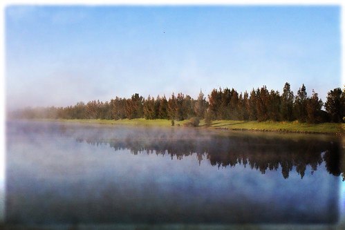park mist reflection tree water australia perth western waterski baldivis bonneys