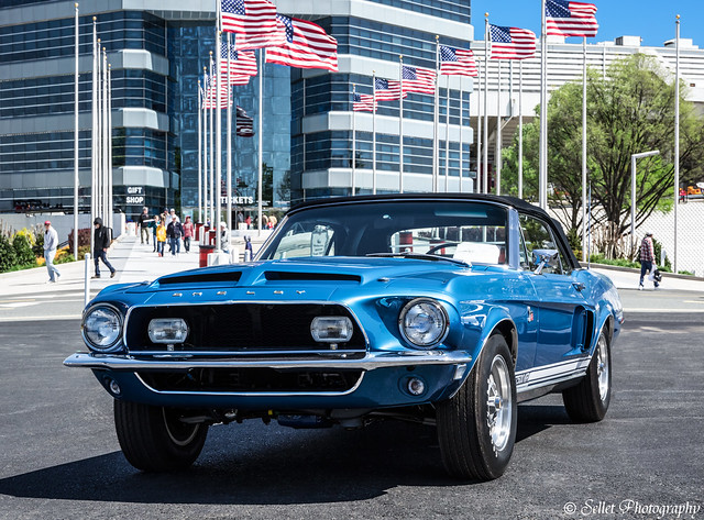 1968 Shelby Mustang Cobra GT500KR welcoming visitors