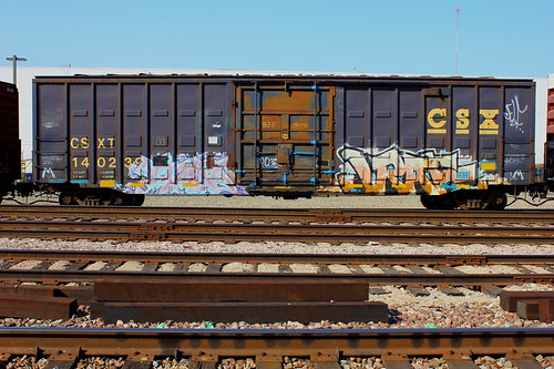 TIMBER•JRAFE | by KNOWLEDGE IS KING_