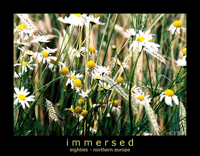 immersed
