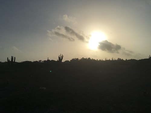 aruba cactus sunrise