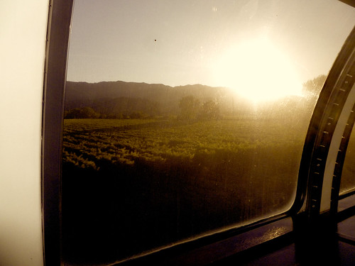 california sunset sun window silhouette sepia train evening vineyard twilight vines fraternity pullman napavalley napa winetrain zetapsi