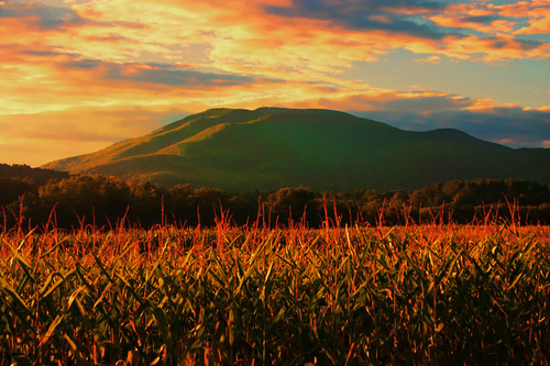 sunset weather project corn day cloudy farm ascutney lacinventory