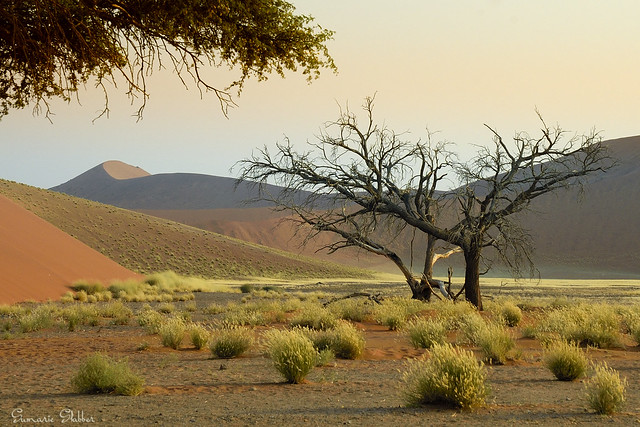 Namib-Nakluft National Park, Namibia