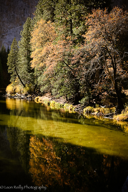 The Merced River in Autumn (Fall), Yosemite National Park.