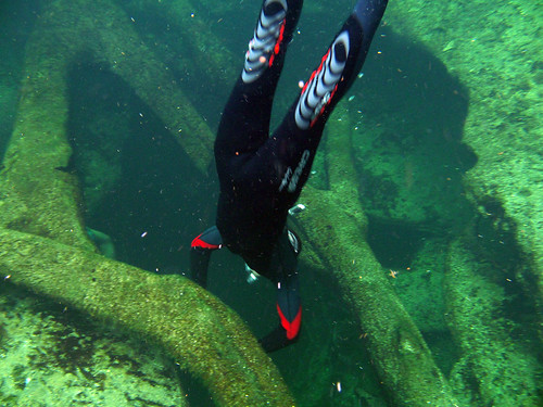 florida diving freediving diver freshwater bluesprings bluespringsstatepark orangecity coldsprings