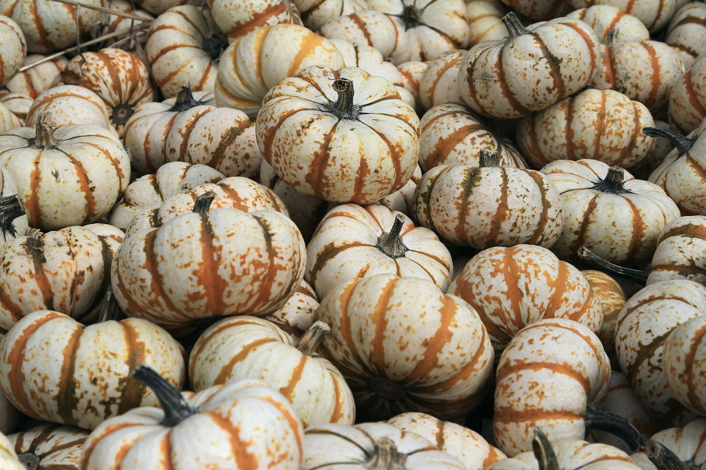 Linvilla Orchards