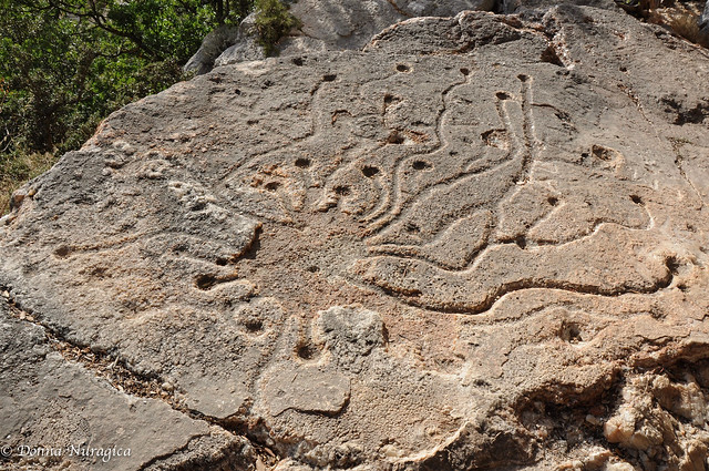 incisioni rupestri di Grutt'e Janas, Baunei