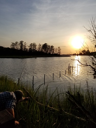 water river sunset fishermancheckingnet